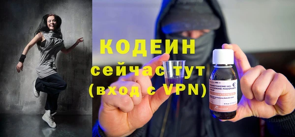 прущие грибы Балахна