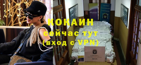 прущие грибы Балахна