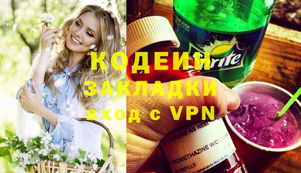 прущие грибы Балахна