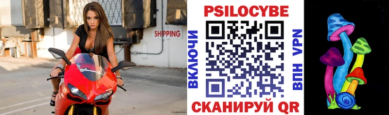 Галлюциногенные грибы ЛСД  даркнет какой сайт  Стародуб 